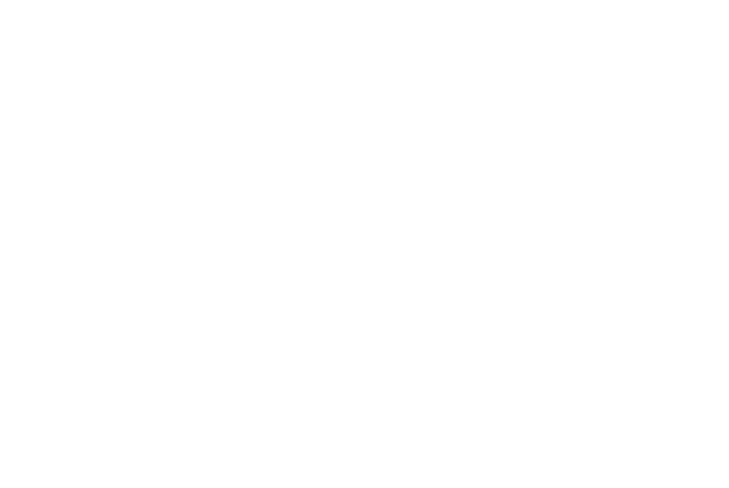 Bristol Port Company Logo